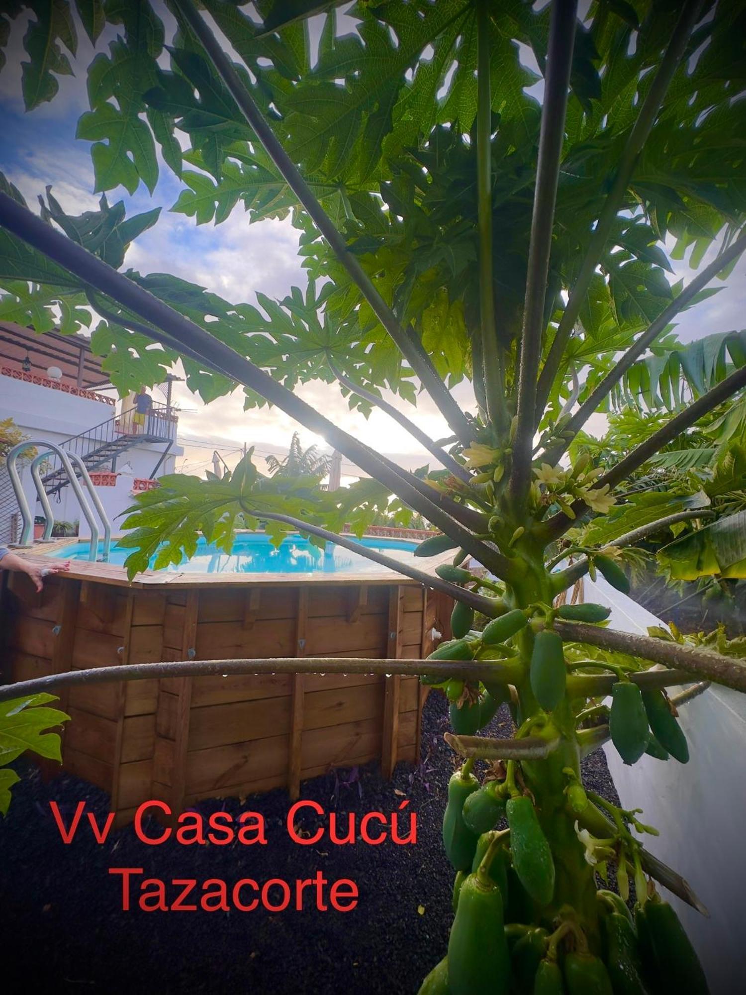 タサコルテ Casa Cucuヴィラ エクステリア 写真